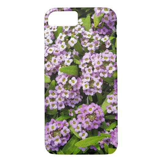 Coques Case-Mate iPhone fleurs d'alyssum mauve (Dos)