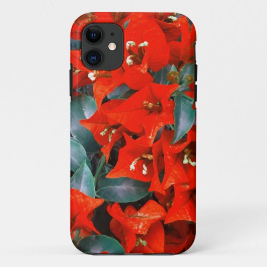 Coques Case-Mate iPhone Fleurs de bougainvillée rouge vibrant (Dos)