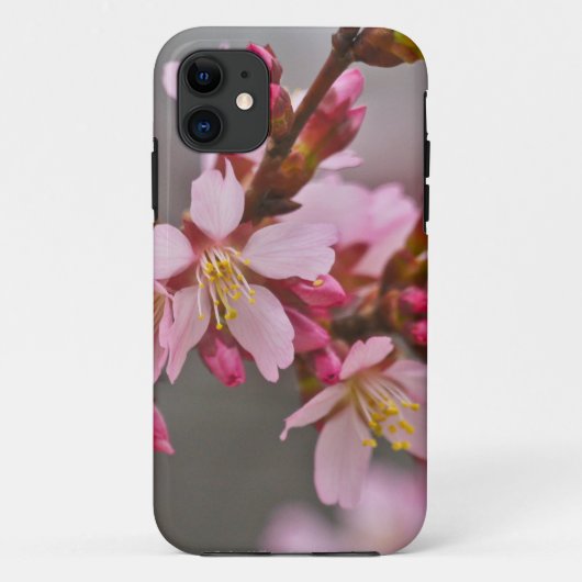 Coques Case-Mate iPhone Fleurs de cerisier japonaises roses sur un ciel gr (Dos)