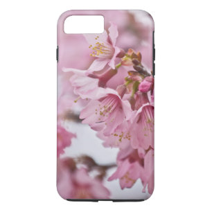 Coque iPhone 8 Plus/7 Plus Fleurs de cerisier Sakura rose pâle