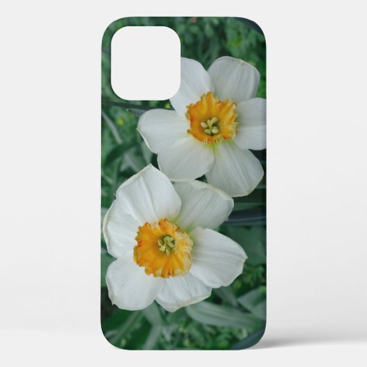 Coques Case-Mate iPhone Fleurs de jonquille (Verso)