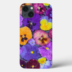 Coques Pour iPhone Fleurs de pensée flottant dans un bain d'oiseaux a