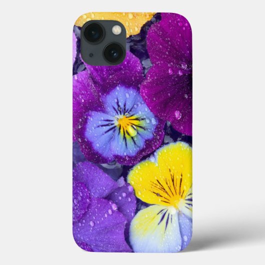 Coques Case-Mate iPhone Fleurs de sansonnet flottant dans un bain d'oiseau (Verso)