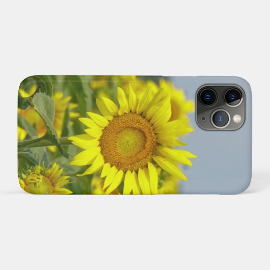 Coques Case-Mate iPhone Fleurs de soleil (Dos (Horizontal))