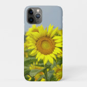 Coques Case-Mate iPhone Fleurs de soleil (Dos)
