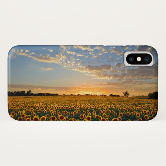 Coques Case-Mate iPhone Fleurs de soleil au coucher du soleil (Dos (Horizontal))