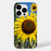 Coques Case-Mate iPhone Fleurs de soleil vibrantes (Verso)