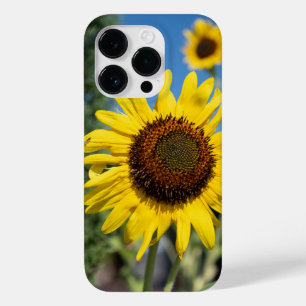 Coque Pour iPhone 14 Pro Fleurs de soleil vibrantes