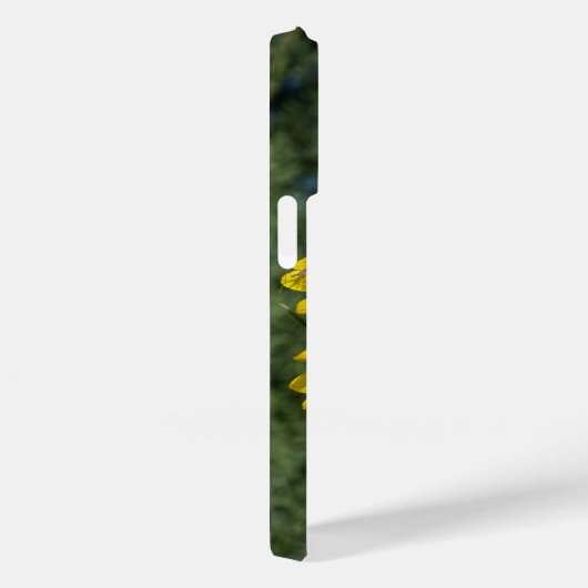Coques Case-Mate iPhone Fleurs de soleil vibrantes (Verso / Droite)