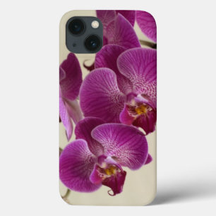 iPhone 13 Case Fleurs d'orchidées roses