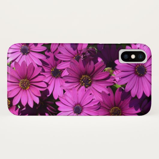Coques Case-Mate iPhone Fleurs d'ostéospermum pourpres (Dos (Horizontal))
