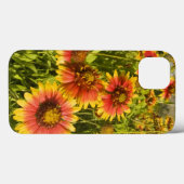 Coques Case-Mate iPhone Fleurs Firewheels Gaillardia pulchella) (Verso (horizontal))