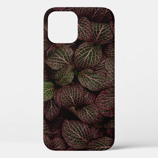 COQUES Case-Mate iPhone FLEURS MAROON PETALED (Verso)