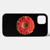 Coques Case-Mate iPhone Fleurs | Orange Gerbera Daisy (Verso (horizontal))