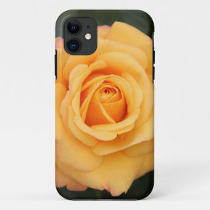 Coques Pour iPhone Fleurs roses fleurs fleur amour femme couple amour