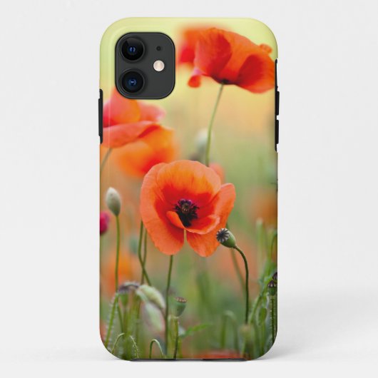 Coques Case-Mate iPhone Fleurs rouges de pavot (Dos)