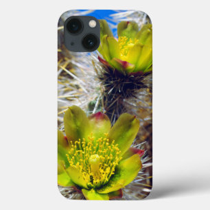 iPhone 13 Coque Fleurs sauvages de Cactus Cholla argenté