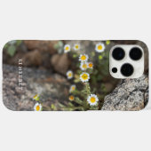 Coques Case-Mate iPhone Fleurs sauvages de marguerite dans les rochers coq (Verso (horizontal))