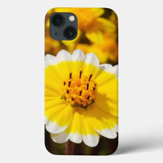 Coques Case-Mate iPhone Fleurs sauvages de pourboire (Verso)