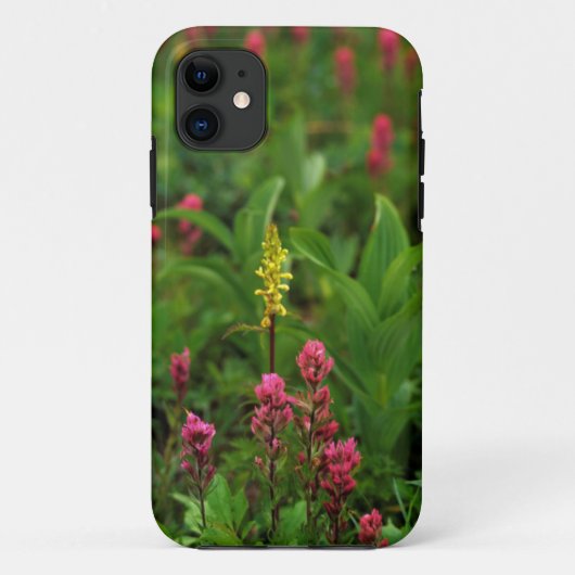Coques Case-Mate iPhone Fleurs sauvages d'été envoyant une explosion de co (Dos)