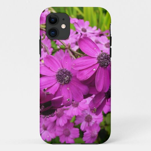 Coques Case-Mate iPhone Fleurs violettes de San Francisco (Dos)