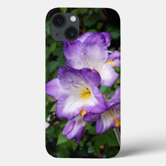 Coques Case-Mate iPhone Fleurs violettes Freesia (Verso)