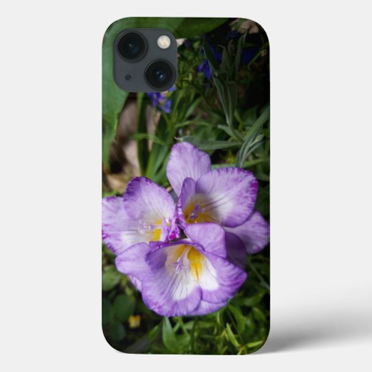 Coques Case-Mate iPhone Fleurs violettes Freesia (Verso)