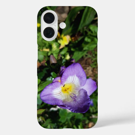 Coques Case-Mate iPhone Fleurs violettes Freesia (Verso)