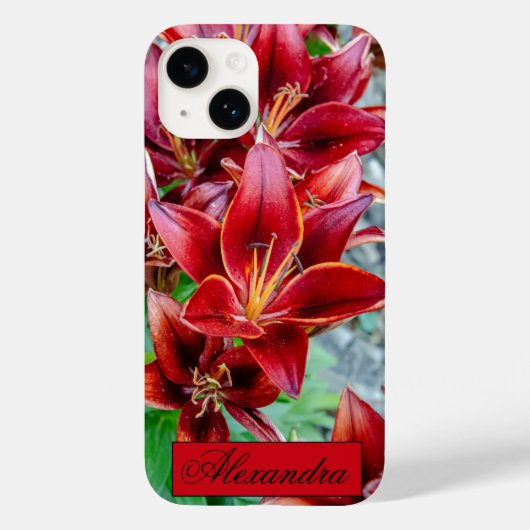 Coques Case-Mate iPhone Floral Red Stargazer Lily Photographie (Verso)