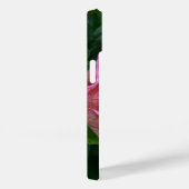 Coques Case-Mate iPhone Floral rose Peony Photographie (Verso / Droite)