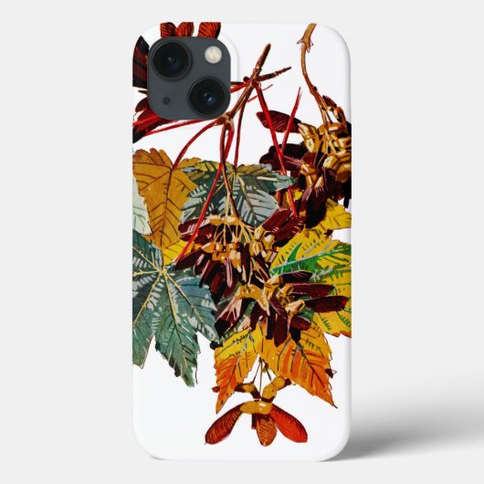 Coques Case-Mate iPhone Flore exotique #3 à SunshineDazzle (Verso)