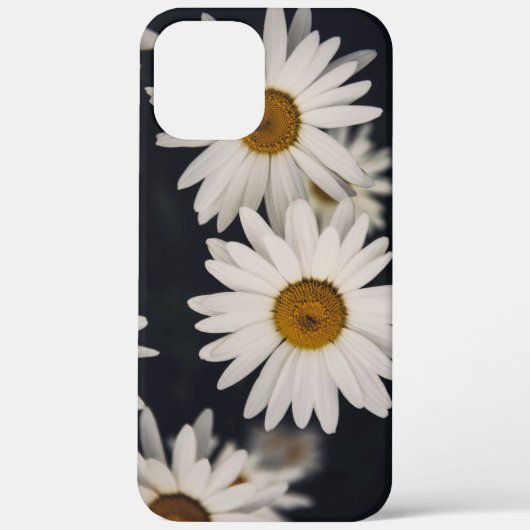 Coques Case-Mate iPhone Flore tendance Daisy (Verso)