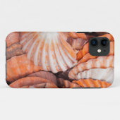 Coques Case-Mate iPhone Florida Keys, Key West, coquillages (Dos (Horizontal))