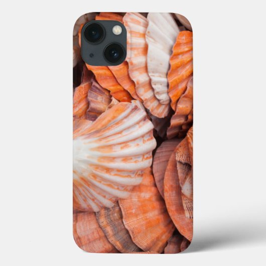 Coques Case-Mate iPhone Florida Keys, Key West, coquillages (Verso)