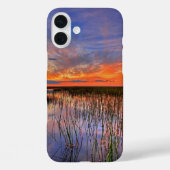 Coques Case-Mate iPhone Floride Everglades (Verso)