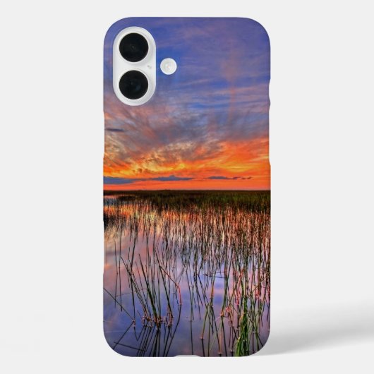 Coques Case-Mate iPhone Floride Everglades (Verso)