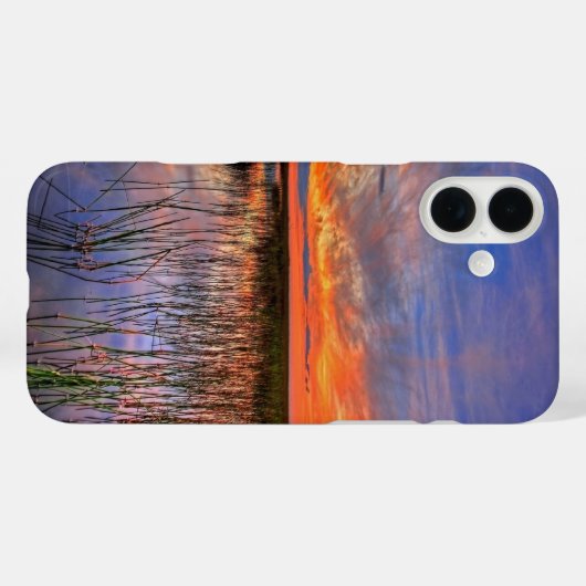 Coques Case-Mate iPhone Floride Everglades (Verso (horizontal))