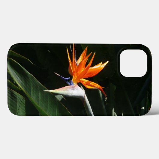 Coques Case-Mate iPhone Flower tropical orange paradise (Verso (horizontal))