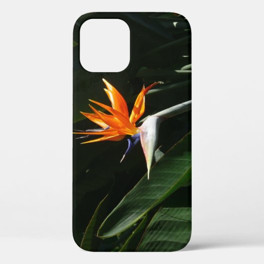 Coques Case-Mate iPhone Flower tropical orange paradise (Verso)