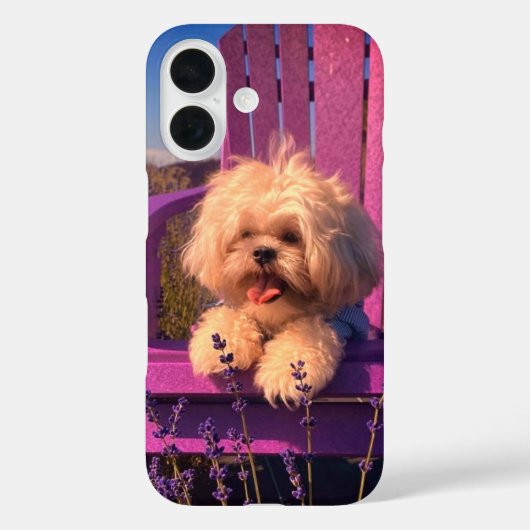 Coques Case-Mate iPhone Fluffy Playful Shih Tzu Puppy, Dog in Purple Chair (Verso)