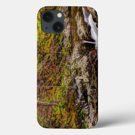 Coques Case-Mate iPhone Flux De Forêts Dans Les Grandes Montagnes Fumées (Verso)