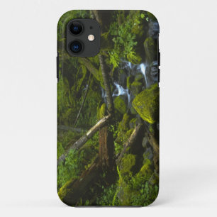Coques Pour iPhone Flux tempéré de forêt tropicale dans la rivièr