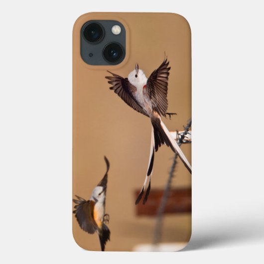 Coques Case-Mate iPhone FLYCATCHER Ciseaux-Coupés la queue (Tyrannus (Verso)
