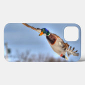Coques Case-Mate iPhone Flying Mallard Duck Drake 5 Wildlife Photo (Verso (horizontal))