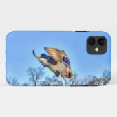 Coques Case-Mate iPhone Flying Mallard Duck Drake Wildlife Photo (Dos (Horizontal))