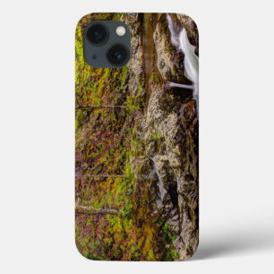 Case-Mate iPhone Case Forest Stream In Great Smoky Mountains
