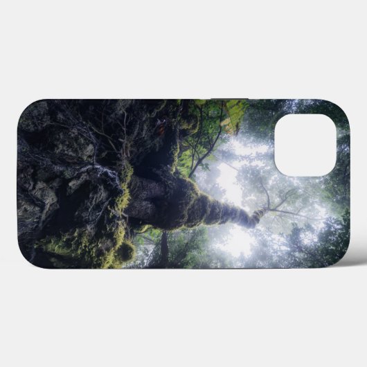 Coques Case-Mate iPhone Forêt | Anaga Parc rural Îles Canaries (Verso (horizontal))