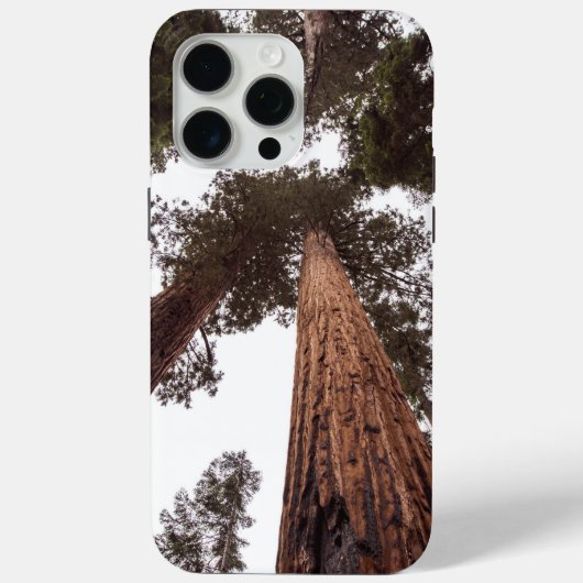 Coques Case-Mate iPhone forêt, arbre (Verso)