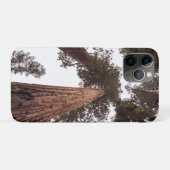 Coques Case-Mate iPhone forêt, arbre (Dos (Horizontal))