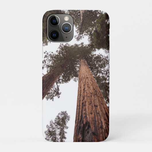 Coques Case-Mate iPhone forêt, arbre (Dos)